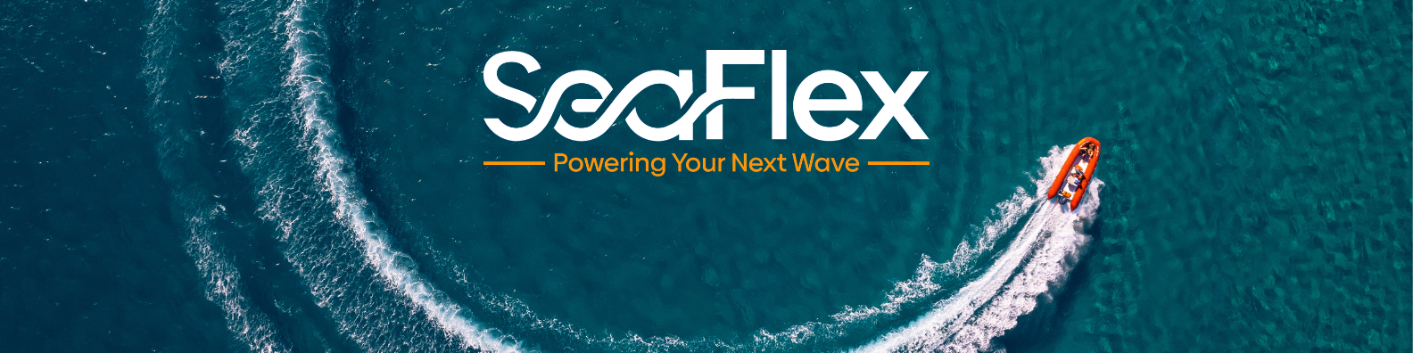 seaflex linkedin banner